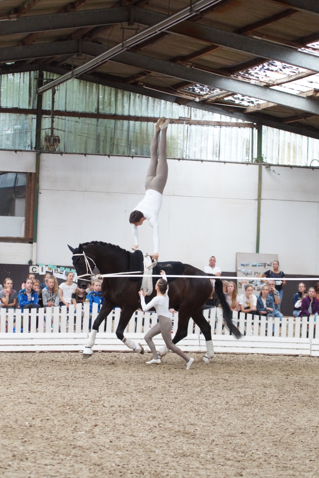 2019 06 16 Bremen Grevelau 1 3
