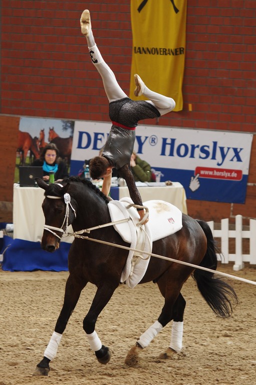 DSC05973 Kopie