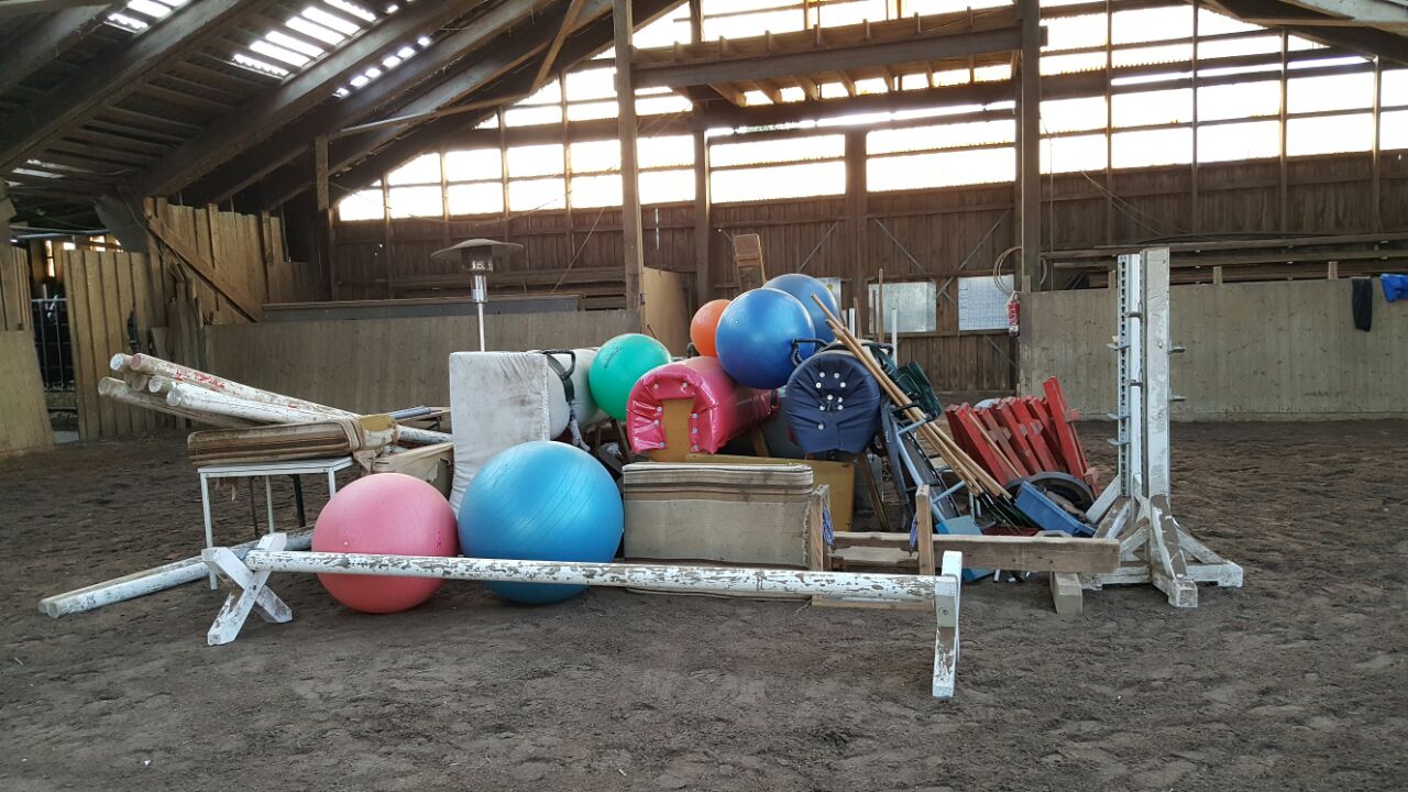 Halle Fruhjahrsputz