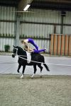 DSC04241-Kopie