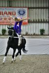 DSC04273-Kopie