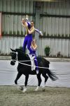DSC04299-Kopie