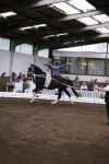 DSC03953-Kopie