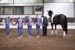 DSC03948-Kopie