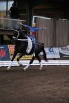 DSC03973-Kopie