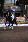 DSC03989-Kopie