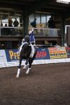 DSC04011-Kopie