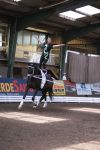 DSC04026-Kopie