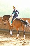 DSC03810-Kopie