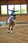 DSC03815-Kopie