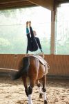 DSC03819-Kopie