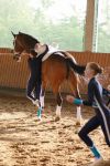 DSC03822-Kopie