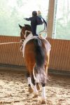 DSC03826-Kopie