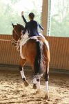 DSC03837-Kopie