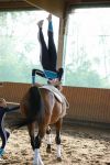 DSC03856-Kopie