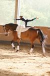 DSC03860-Kopie