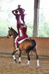 DSC03890-Kopie