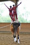 DSC03898-Kopie