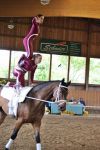 DSC03905-Kopie