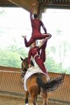DSC03916-Kopie