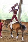 DSC03934-Kopie