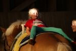 DSC04750-Kopie