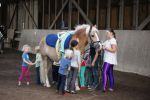 DSC04770-Kopie