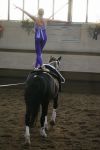 DSC05509-Kopie