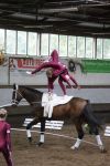 DSC05098-Kopie