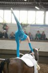 DSC05245-Kopie