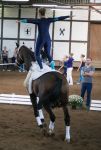 DSC04922-Kopie