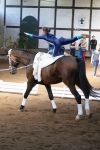 DSC04948-Kopie