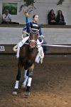 DSC04950-Kopie