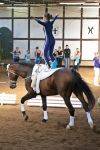 DSC04955-Kopie