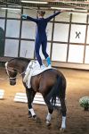 DSC04999-Kopie