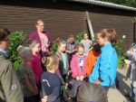 IMG4601-Kopie