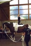 20140927Sieversen061