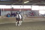 20140927Sieversen127