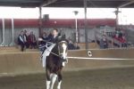 20140927Sieversen137