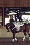 20140927Sieversen166