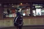 20140927Sieversen207