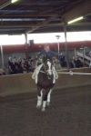 20140927Sieversen241
