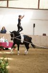 DSC03795-Kopie