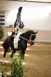 DSC03780-Kopie
