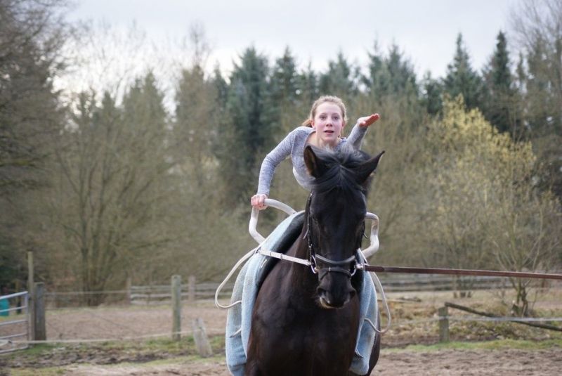 DSC06076-Kopie