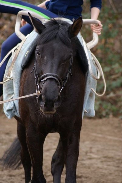 DSC06032-Kopie