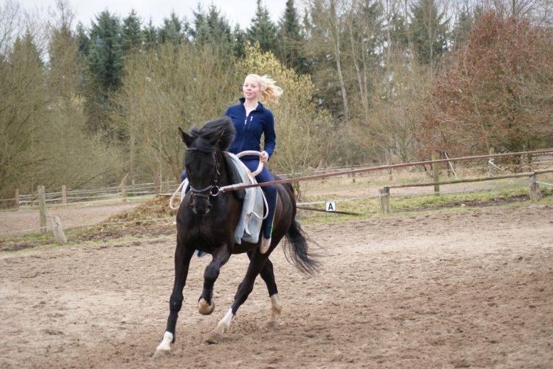 DSC06122-Kopie