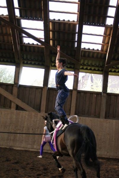 DSC06253-Kopie