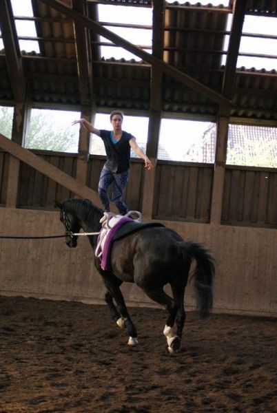 DSC06326-Kopie