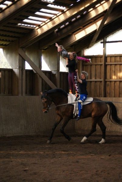 DSC06415-Kopie